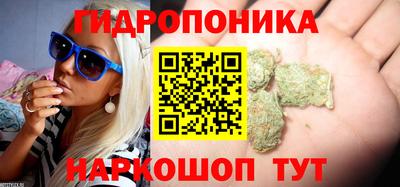 spice Славянск-на-Кубани